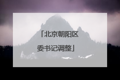 北京朝阳区委书记调整