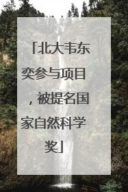 北大韦东奕参与项目，被提名国家自然科学奖