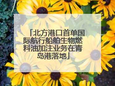 北方港口首单国际航行船舶生物燃料油加注业务在青岛港落地
