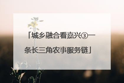 城乡融合看嘉兴③一条长三角农事服务链