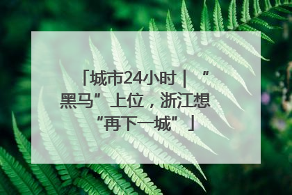 城市24小时｜“黑马”上位，浙江想“再下一城”