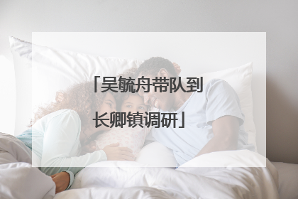 吴毓舟带队到长卿镇调研