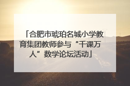 合肥市琥珀名城小学教育集团教师参与“千课万人”数学论坛活动