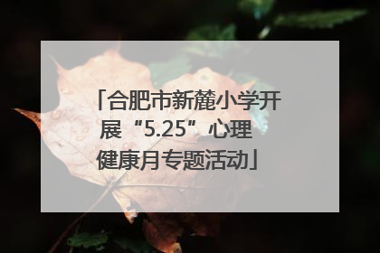 合肥市新麓小学开展“5.25”心理健康月专题活动