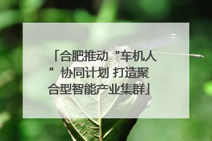 合肥推动“车机人”协同计划 打造聚合型智能产业集群