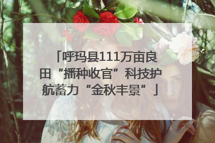 呼玛县111万亩良田“播种收官”科技护航蓄力“金秋丰景”