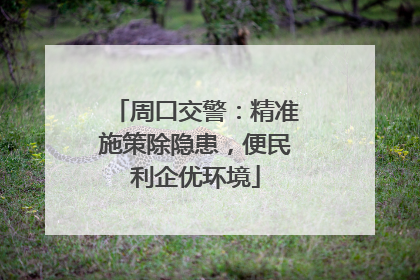 周口交警：精准施策除隐患，便民利企优环境
