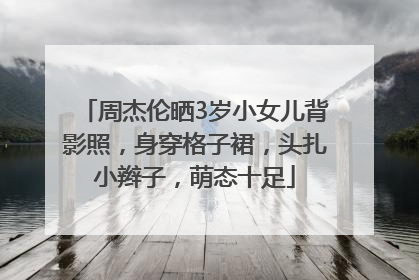 周杰伦晒3岁小女儿背影照，身穿格子裙，头扎小辫子，萌态十足