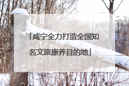 咸宁全力打造全国知名文旅康养目的地