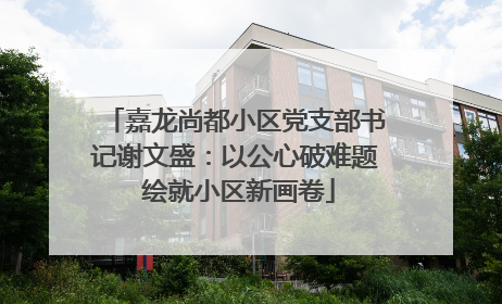 嘉龙尚都小区党支部书记谢文盛：以公心破难题 绘就小区新画卷