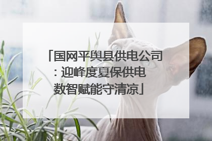 国网平舆县供电公司：迎峰度夏保供电  数智赋能守清凉