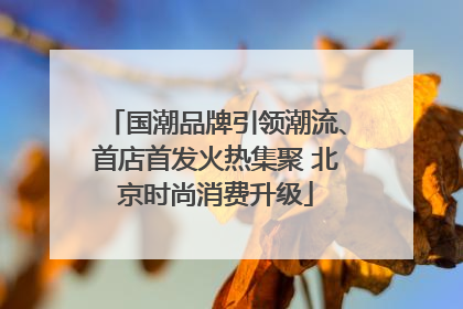 国潮品牌引领潮流、首店首发火热集聚 北京时尚消费升级