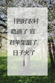 四好农村路通了 宜君苹果甜了 日子火了