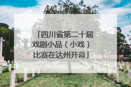 四川省第二十届戏剧小品（小戏）比赛在达州开幕