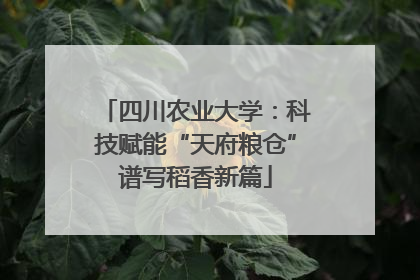 四川农业大学：科技赋能“天府粮仓”谱写稻香新篇