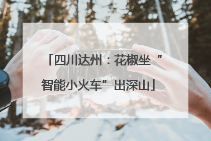 四川达州：花椒坐“智能小火车”出深山