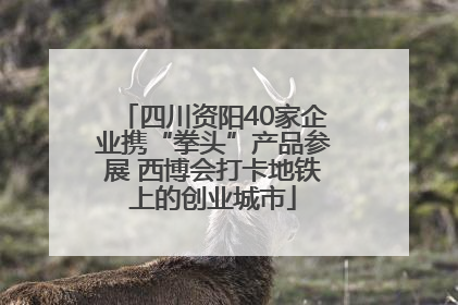四川资阳40家企业携“拳头”产品参展 西博会打卡地铁上的创业城市
