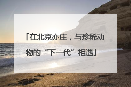 在北京亦庄，与珍稀动物的“下一代”相遇