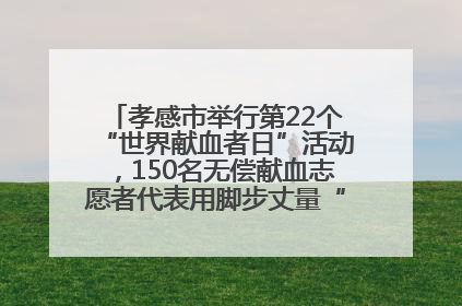 孝感市举行第22个“世界献血者日”活动，150名无偿献血志愿者代表用脚步丈量“中华孝爱第一山”