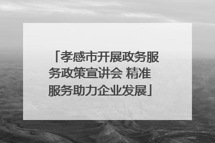 孝感市开展政务服务政策宣讲会 精准服务助力企业发展