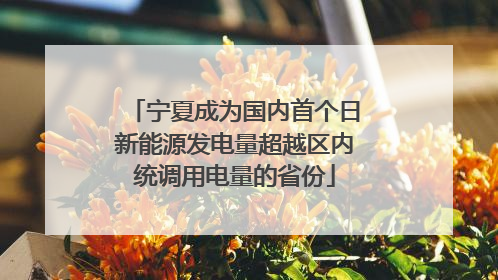 宁夏成为国内首个日新能源发电量超越区内统调用电量的省份