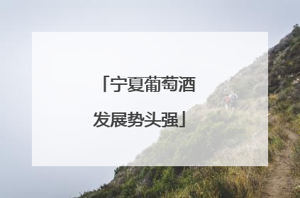 宁夏葡萄酒发展势头强