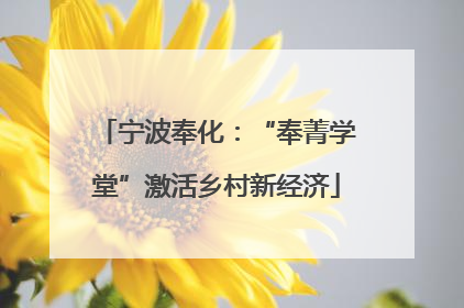 宁波奉化：“奉菁学堂”激活乡村新经济