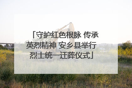 守护红色根脉 传承英烈精神 安乡县举行烈士统一迁葬仪式