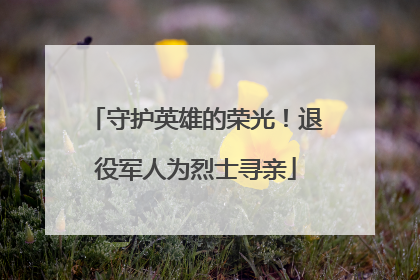 守护英雄的荣光！退役军人为烈士寻亲