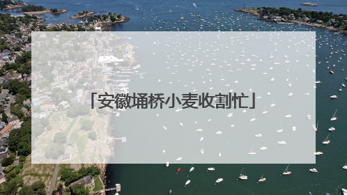 安徽埇桥小麦收割忙