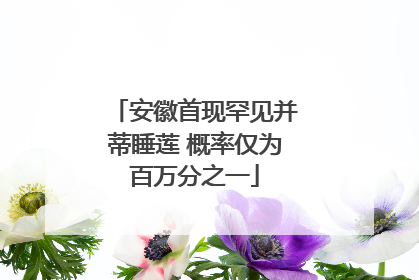 安徽首现罕见并蒂睡莲 概率仅为百万分之一