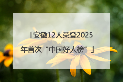 安徽12人荣登2025年首次“中国好人榜”