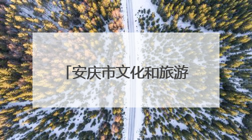 安庆市文化和旅游产业协会正式成立