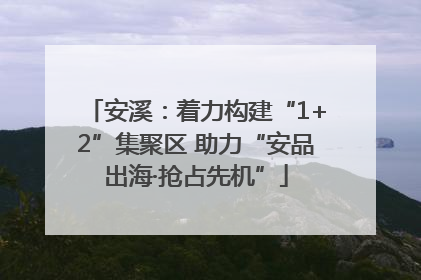 安溪：着力构建“1+2”集聚区 助力“安品出海·抢占先机”
