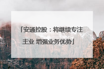 安通控股：将继续专注主业 增强业务优势