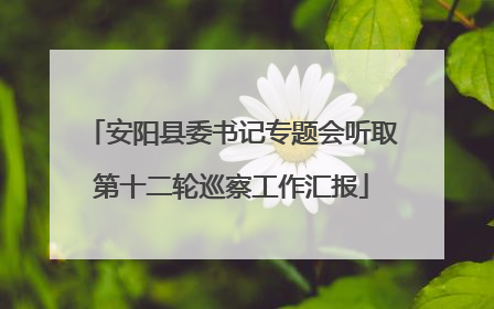 安阳县委书记专题会听取第十二轮巡察工作汇报
