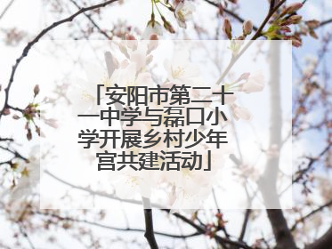 安阳市第二十一中学与磊口小学开展乡村少年宫共建活动