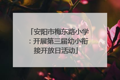 安阳市梅东路小学：开展第三届幼小衔接开放日活动