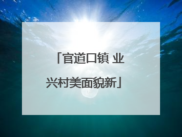 官道口镇 业兴村美面貌新
