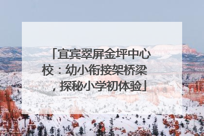宜宾翠屏金坪中心校：幼小衔接架桥梁，探秘小学初体验
