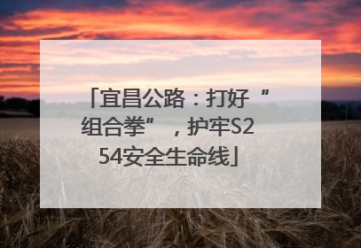 宜昌公路：打好“组合拳”，护牢S254安全生命线