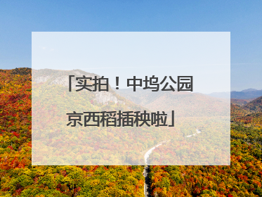 实拍！中坞公园京西稻插秧啦