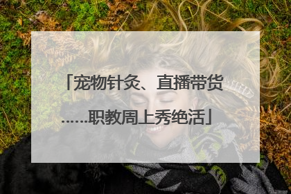 宠物针灸、直播带货……职教周上秀绝活