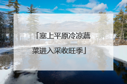 塞上平原冷凉蔬菜进入采收旺季