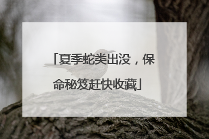 夏季蛇类出没，保命秘笈赶快收藏