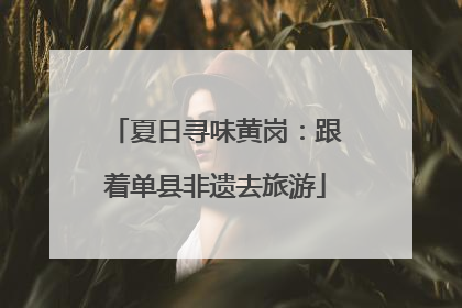 夏日寻味黄岗：跟着单县非遗去旅游