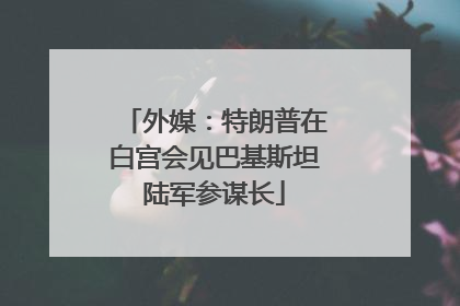 外媒：特朗普在白宫会见巴基斯坦陆军参谋长