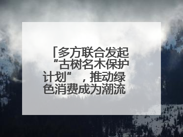 多方联合发起“古树名木保护计划”，推动绿色消费成为潮流丨新经济观察