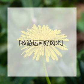 夜游运河好风光