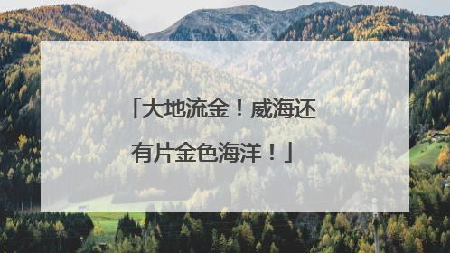 大地流金！威海还有片金色海洋！